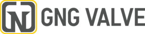 GNG VALVE