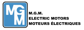 MGM MOTORI ELETTRICI